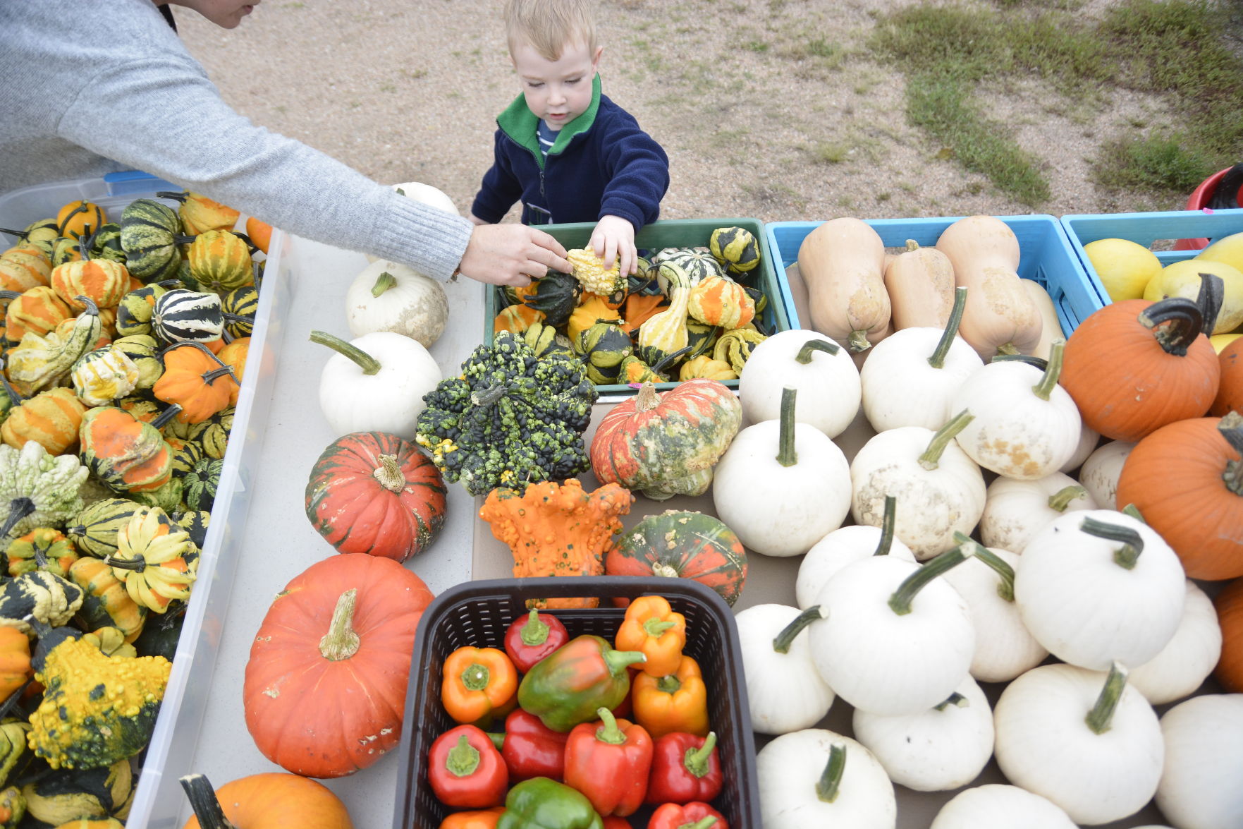 10-6-19 Prairie Loft HarvestFest (46).JPG